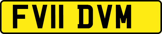 FV11DVM