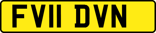 FV11DVN