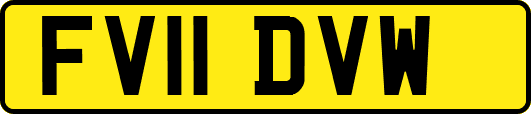 FV11DVW
