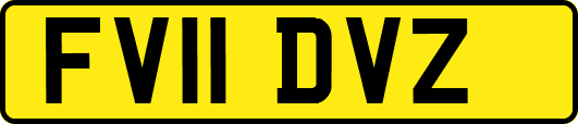 FV11DVZ
