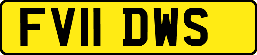 FV11DWS