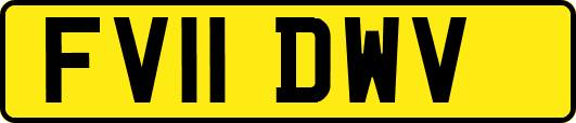 FV11DWV