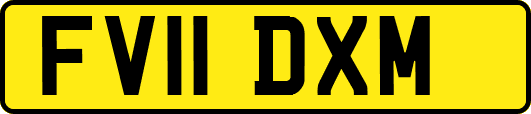 FV11DXM