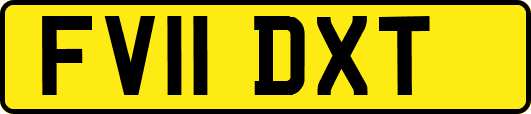FV11DXT