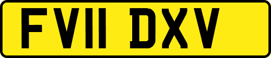 FV11DXV