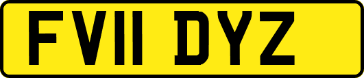 FV11DYZ