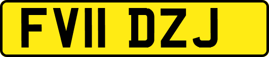 FV11DZJ
