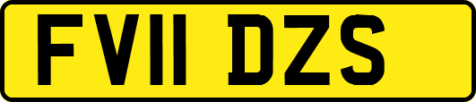 FV11DZS