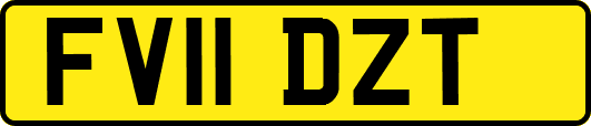 FV11DZT