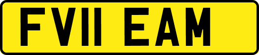 FV11EAM