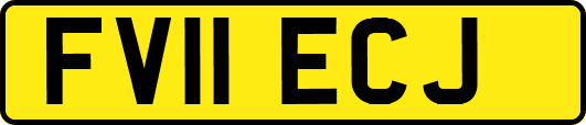 FV11ECJ