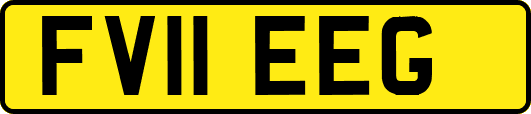 FV11EEG