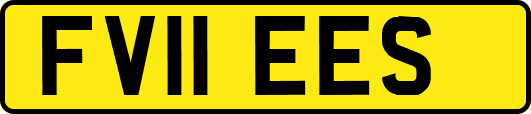 FV11EES