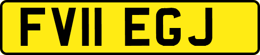 FV11EGJ