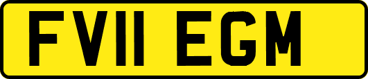 FV11EGM