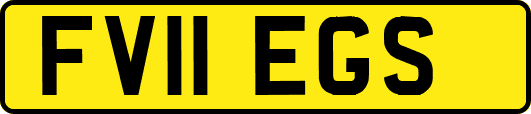 FV11EGS