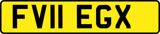 FV11EGX
