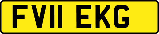 FV11EKG