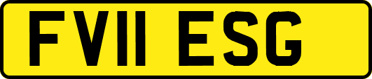 FV11ESG