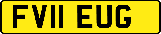 FV11EUG