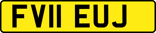 FV11EUJ