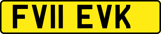 FV11EVK