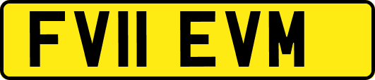 FV11EVM