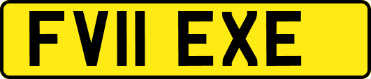 FV11EXE