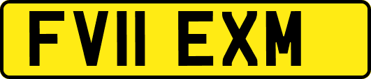 FV11EXM