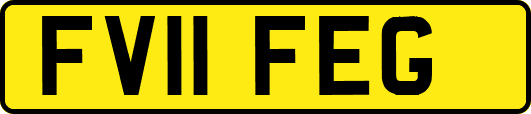 FV11FEG