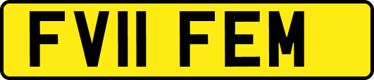 FV11FEM