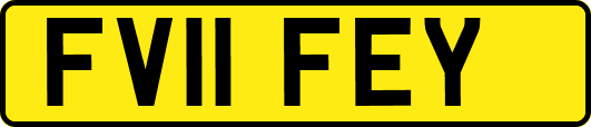 FV11FEY
