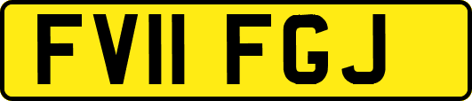 FV11FGJ