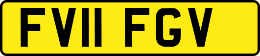 FV11FGV