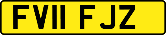 FV11FJZ