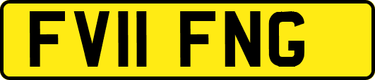FV11FNG
