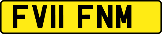 FV11FNM