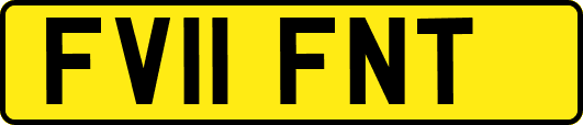 FV11FNT