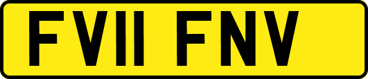 FV11FNV