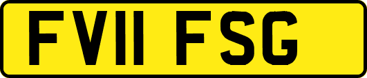 FV11FSG
