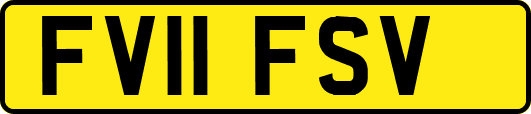 FV11FSV