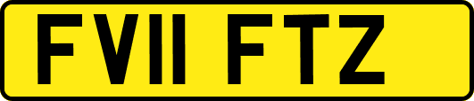 FV11FTZ