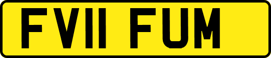 FV11FUM