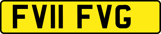 FV11FVG