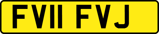FV11FVJ