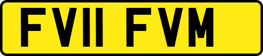 FV11FVM
