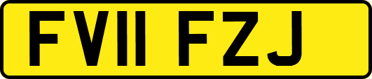 FV11FZJ