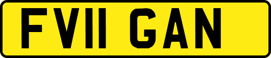 FV11GAN