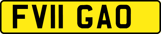 FV11GAO