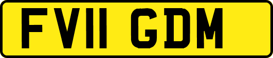 FV11GDM